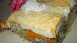 Bublanina   s meruňkami,  mákem a  sněhovou čepicí