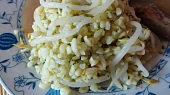 Bulgur s klíčky mungo