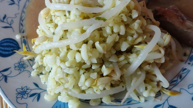 Bulgur s klíčky mungo