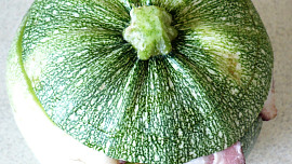Cuketový ksichtík v kukuřičné postýlce