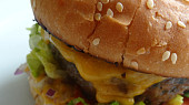 Hovězí grill-burger