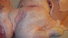 Kuře na cuketě, rajčatech a zakysané smetaně