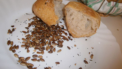 Mišošky (bulky s bigou), moja úchylka :-) semienok nikdy nie je dosť, preto ich prihodím k pečivku na plechu  - no a to chrumkanie - paráda!
