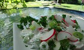 Satrica - tvarohový salát s jarní cibulkou