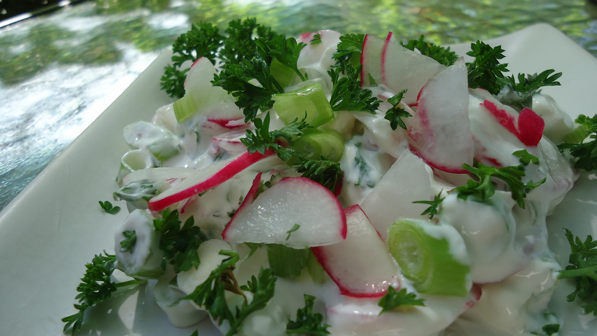 Satrica - tvarohový salát s jarní cibulkou
