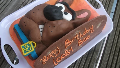 Scooby Doo dort