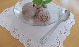 Smetanová krémová  zmrzlina se spoustou čokolády