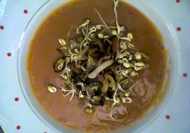Studená rajčatovo-cuketová polévka