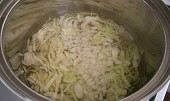 Zelný salát“rychlovka“,jako příloha na talíři (Zelí s cibulí necháme přejít varem)