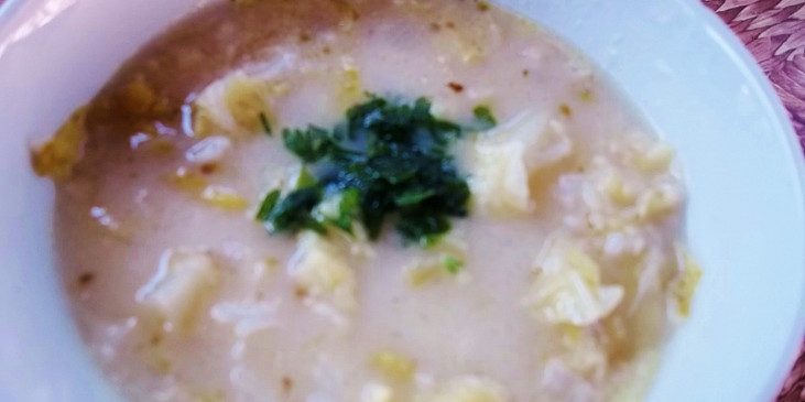 Kapustovo-zelná polévka s rýží nakyselo (Dobrou chuť!)