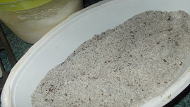 Kávovo-maková roláda s  lahodným krémem a ovocem