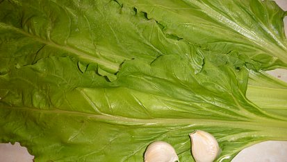 Kroupová polévka s mangoldem a fazolemi