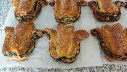 Kynuté tulipány