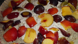 Makový drobenkový koláč se švestkami a broskvemi