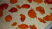 Šlehačkovo -  maková bublanina  s meruňkami
