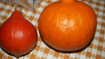 Dýňová polévka s liškami