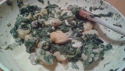 Gnocchi, špenát a kuřecí maso, Docela se po nich zaprášilo :)