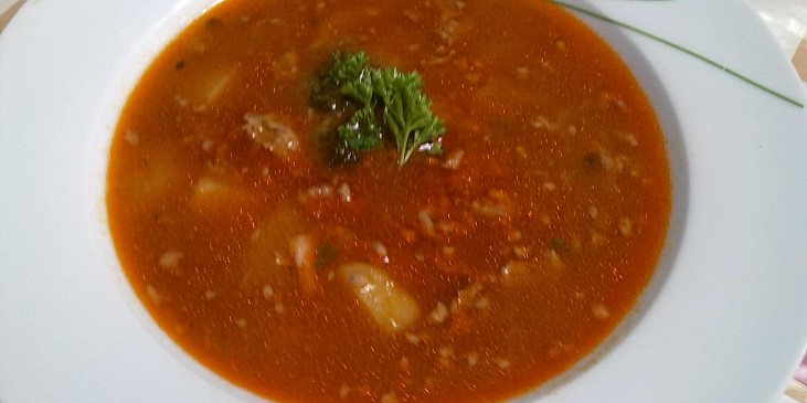 Gulášová polévka z mletého masa (gulášovka)