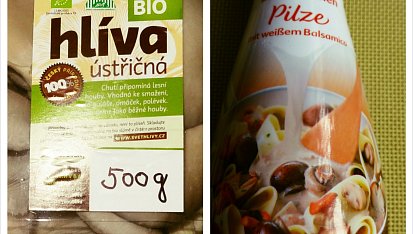 Hlíva se smetanou a zastřeným vejcem, ... hlíva je z vinařství Zborovský - Velké Pavlovice