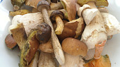 Houbový pekáček, použité houby