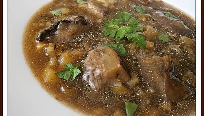 Hříbková“lahůdková“polévka
