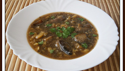Hříbková“lahůdková“polévka