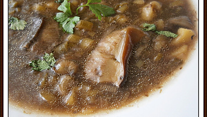 Hříbková“lahůdková“polévka