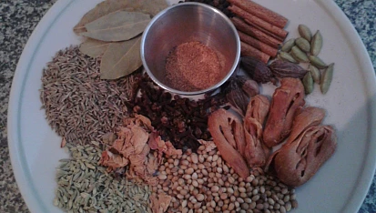 Garam Masala #1