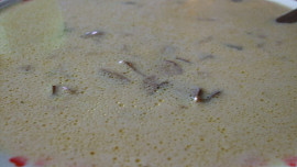 Jemná houbová polévka