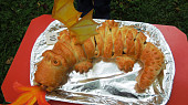 Krokodýl