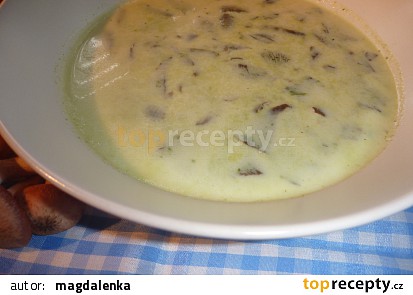 Mangoldový krém s václavkami