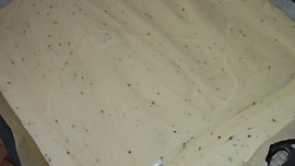 Mirabelková roláda s kakaovo - karamelovým krémem