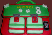 dort aktovka
