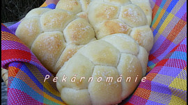 Podmáslové raženky