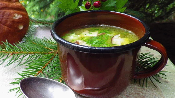 Polévka risi-bisi s hříbky
