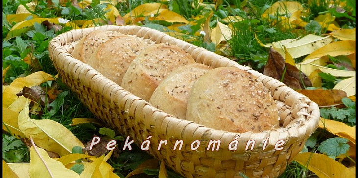 Pšenično-žitné dalamánky s prefermentem