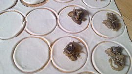 Rusnacke pirohy
