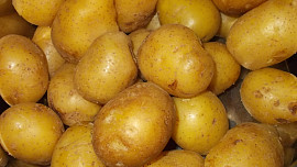 Zapečená směs z brambor, sýrů  a hub