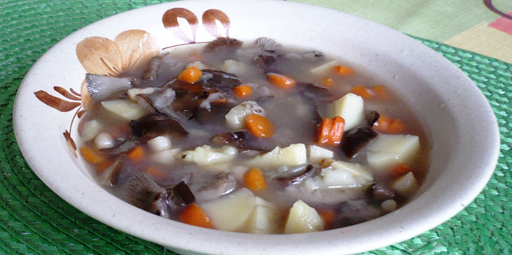 Zeleninová polévka s václavkami