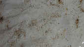 Cibulovo smetanový osúch  (a česnekový), s cesnakom - pred pečením