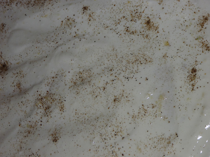 Cibulovo smetanový osúch  (a česnekový), s cesnakom - pred pečením