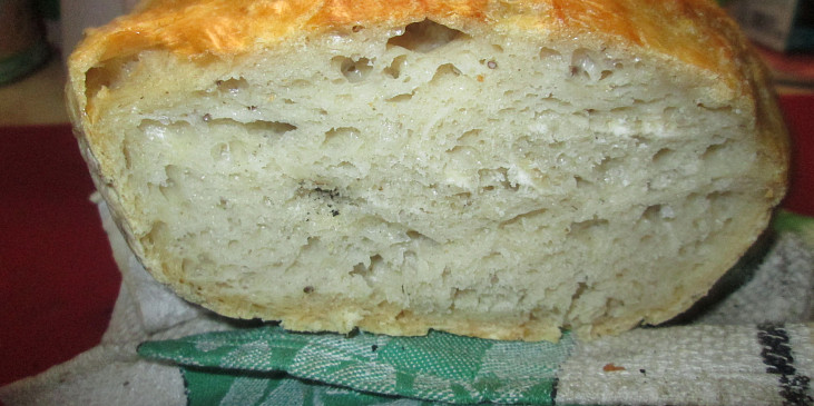 Domácí chléb bez hnětení (průřez...)