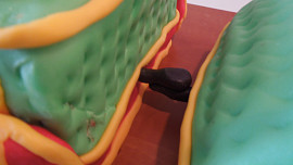 Dort T-Rex Express