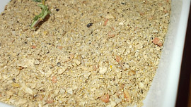 Dýně Hokkaido pečená s bramborem, okořeněná drcenou  hlívou  a bylinkami