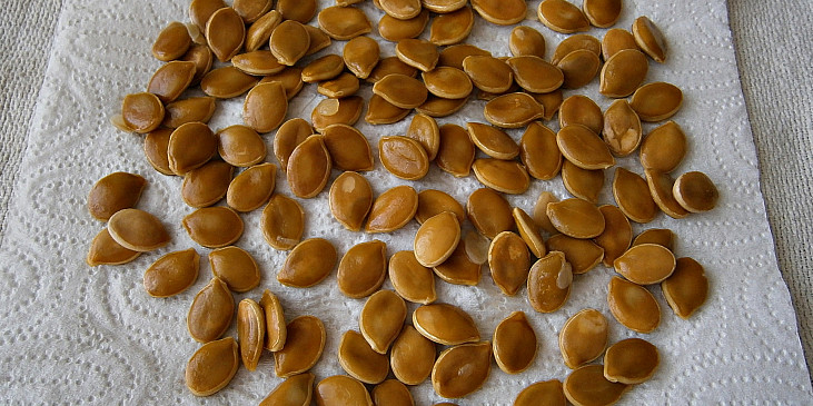 Semínka pořádně propláchneme,dáme vysušit a můžeme je na troše tuku připravit jako pražené mandle