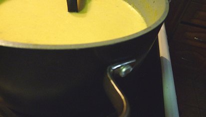 Jablečná polévka s kari podle Marthy Stewart