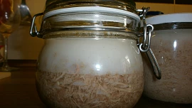 Kachní rillettes