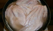 Kachní rillettes