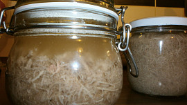 Kachní rillettes