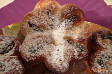 ještě kopretinky